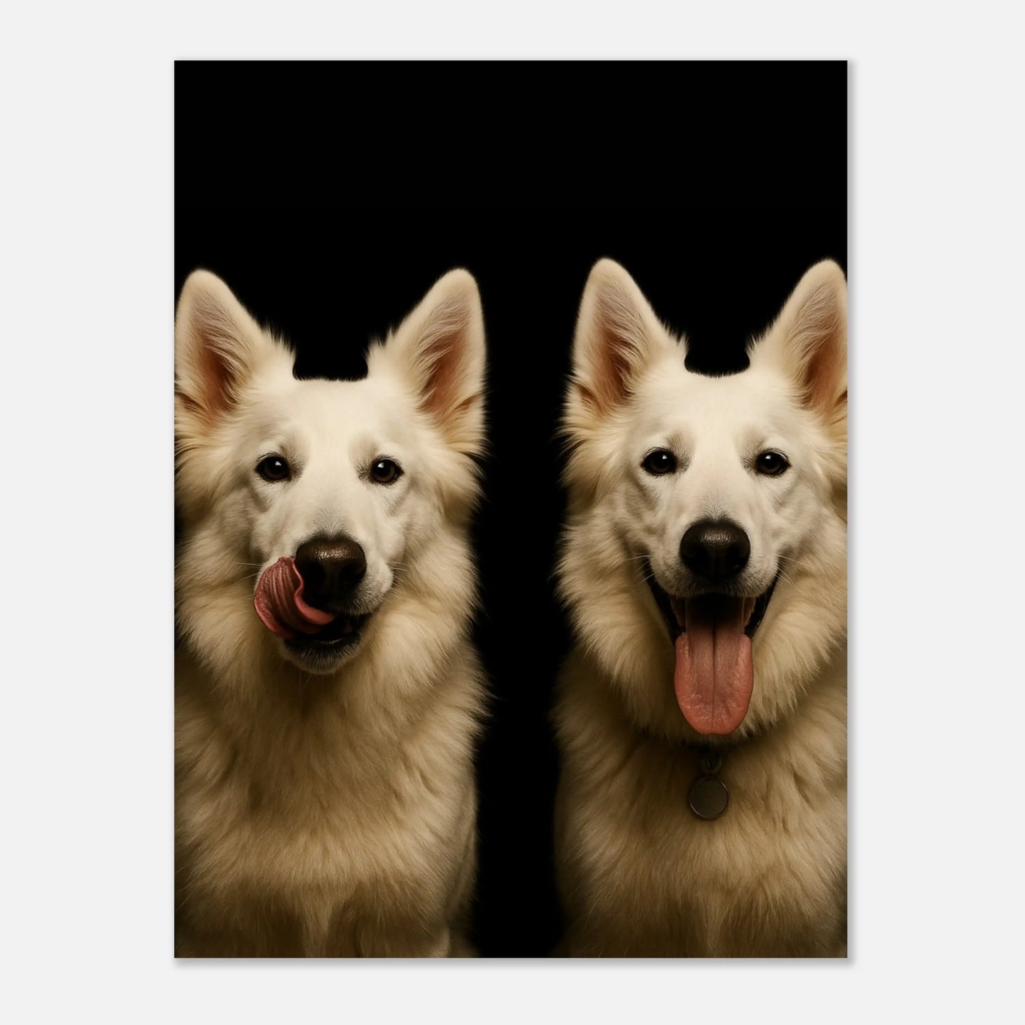 Pure Black Dog Portrait